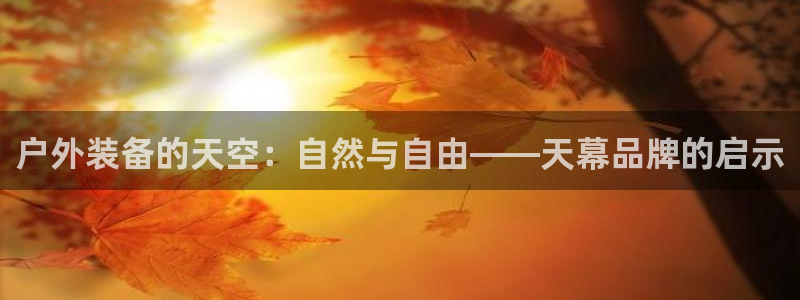 新宝gg首页平台