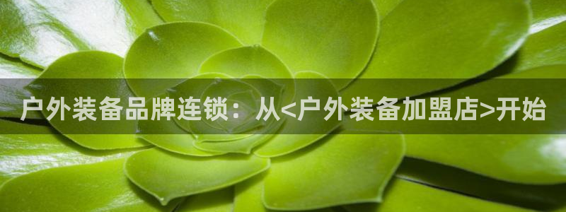 新宝gg主管花木兰