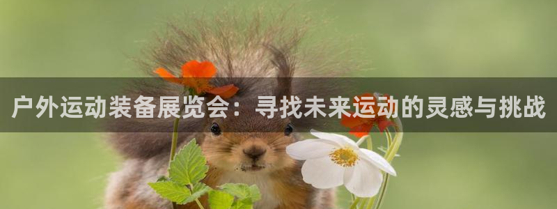 新宝gg在哪开户