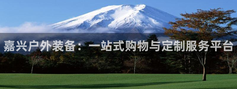 创造奇迹新宝gg