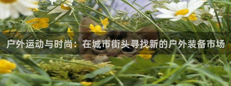 新宝gg金砖彩票