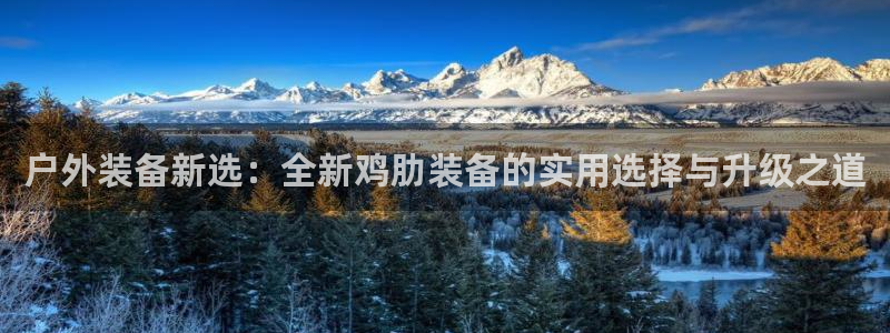 新宝gg用哪个浏览器