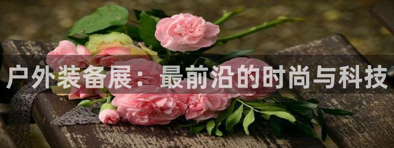 新宝注册gg平台