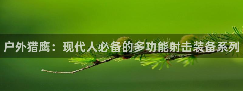 新宝gg招商致胜团队