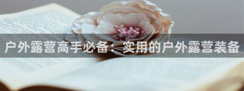 新宝GG创业奇迹