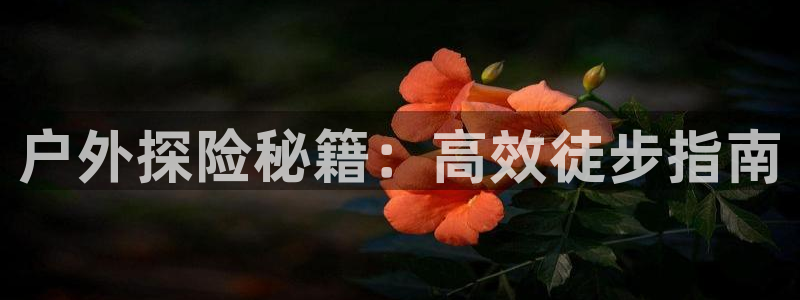 新宝gg   创造奇迹