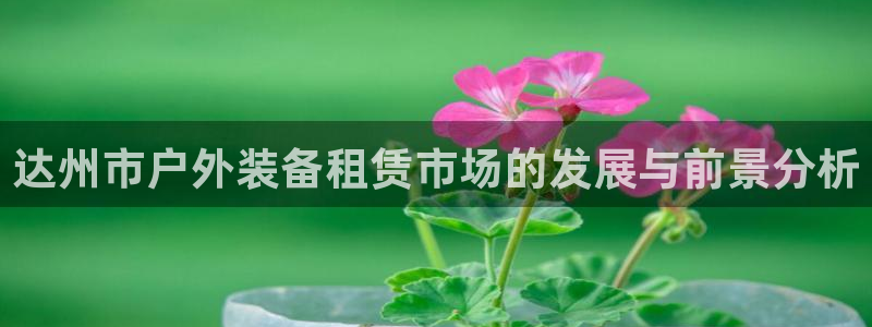 新宝GG登录网页